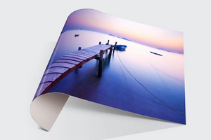Office/Business Styrene Signs - Louisiana Sign Guy | Signs, Cards, Billboards, and Brochures